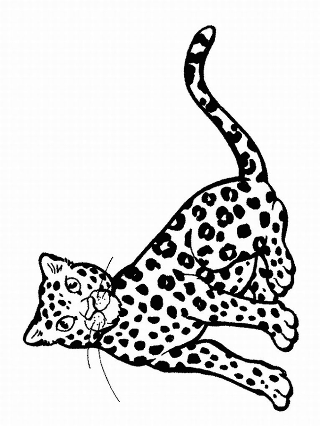 Plansa de colorat cu Leopard 29 22